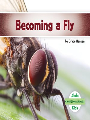 cover image of Becoming a Fly